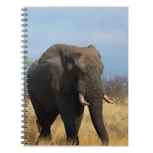 Pachyderm-Notizbuch Notizblock