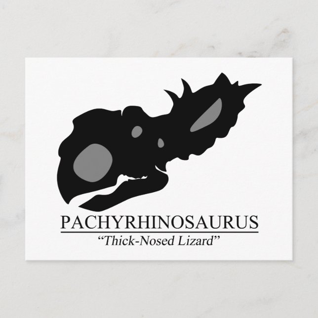 Pachyrhinosaurus Skull Postkarte (Vorderseite)