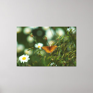 Pacific Fritillary Butterfly Leinwanddruck