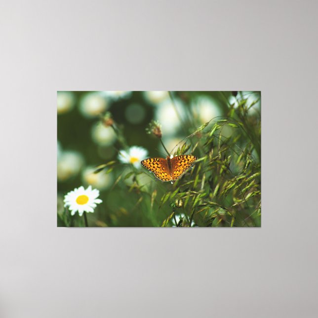Pacific Fritillary Butterfly Leinwanddruck (Vorderseite)