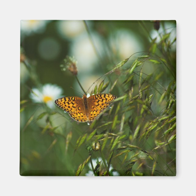 Pacific Fritillary Butterfly Magnet (Vorne)