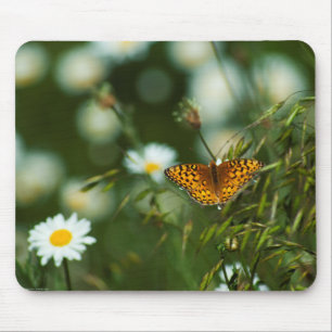 Pacific Fritillary Butterfly Mousepad