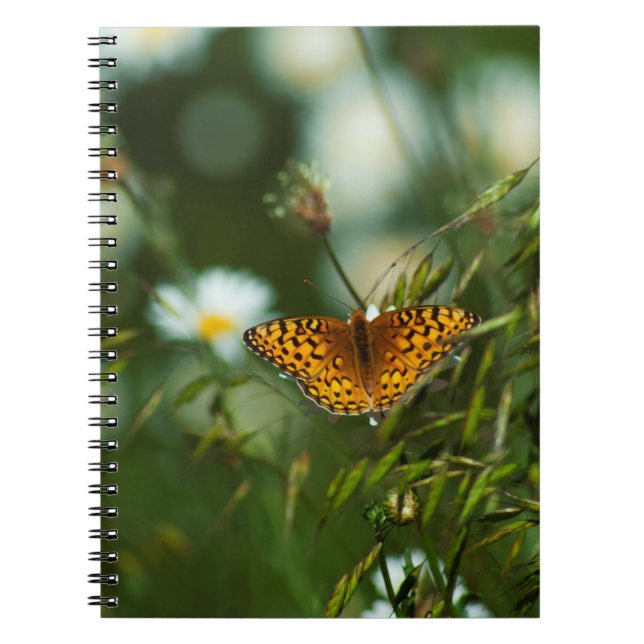 Pacific Fritillary Butterfly Notizblock (Vorderseite)