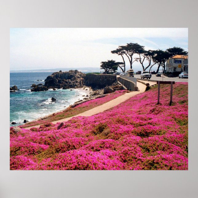 Pacific Grove-Monterey Calif Poster (Vorne)