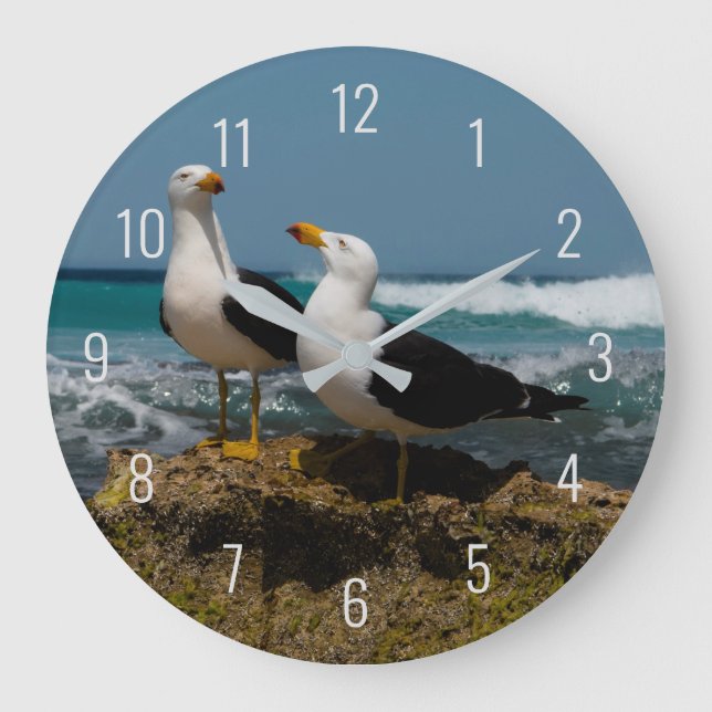 Pacific Gull Bird Animal Beach im Paradies Große Wanduhr (Vorderseite)