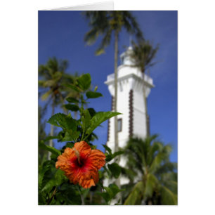 Pacifique Sud, Polynésie française, Tahiti. Hibisc