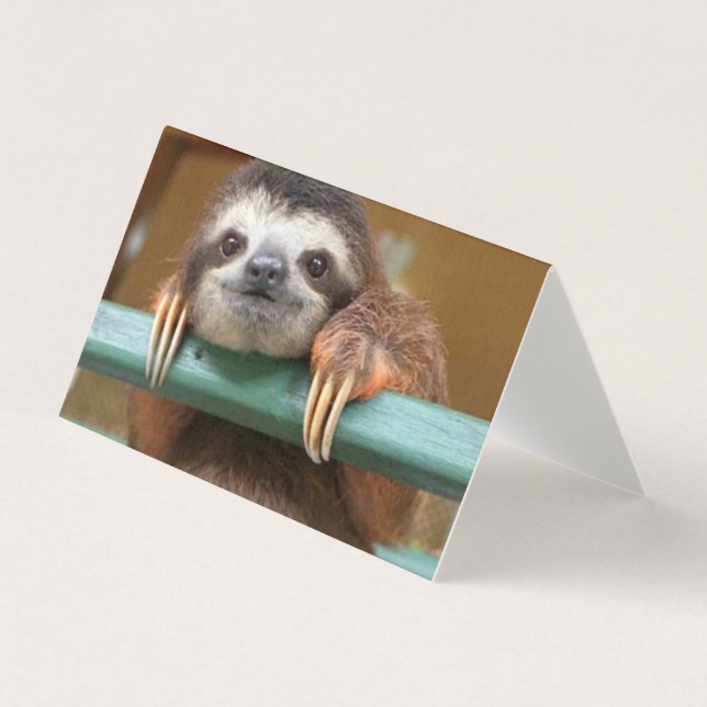 Pack 25 Cartes vides Sloth, à toute occasion (Front)