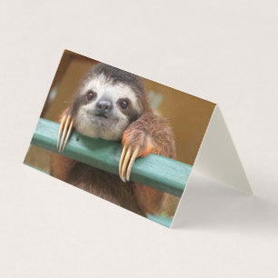 Pack 25 Cartes vides, toutes occasions