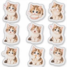 Pack de Stickers Gatito Tierno y Expresivo