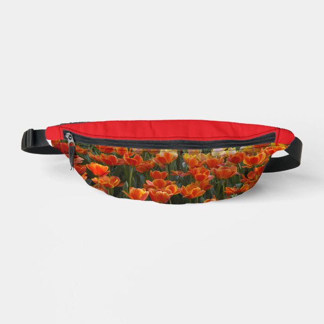 Pack Fanny Tulips (Recto)