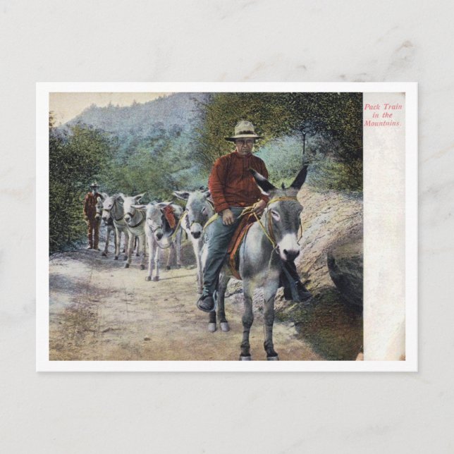 Pack Train in the Mountains Vintage Postkarte (Vorderseite)