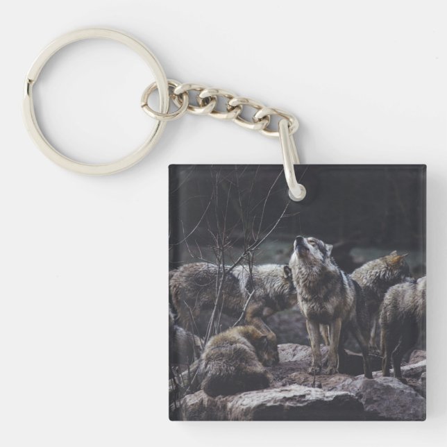 Pack Wolf (Devant)