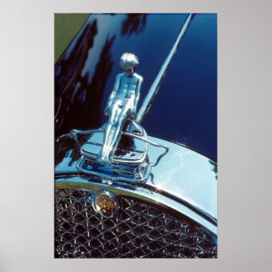 Packard Adonis Heizkörper Poster
