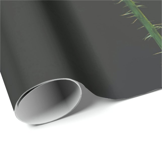 Packpapier (Rolleneckpunkt)