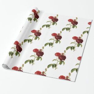 Packpapier, 30" x 6" GLÜCK SEED ROSE Geschenkpapier