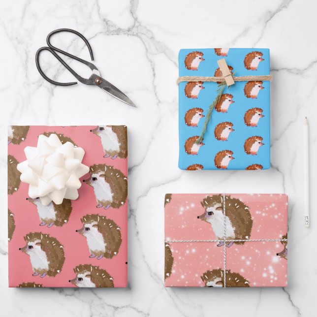 Packpapier für Funky Igel Geschenkpapier Set (Vorderseite)