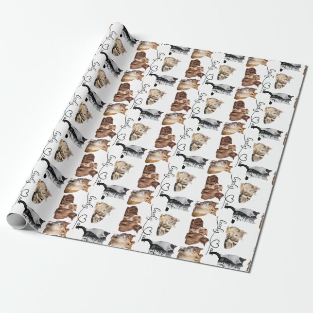 Packung mit Katzen, Funny Cats Geschenkpapier (Ungerollt)