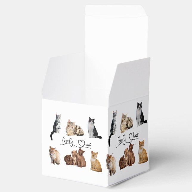 Packung mit Katzen, Funny Cats Geschenkschachtel (Geöffnet)