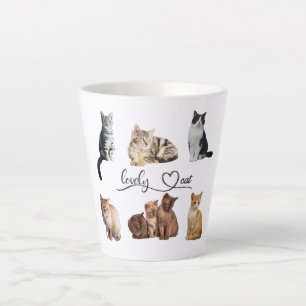 Packung mit Katzen, Funny Cats Milchtasse