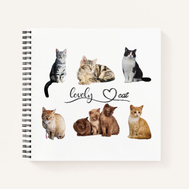 Packung mit Katzen, Funny Cats Notizbuch (Vorderseite)