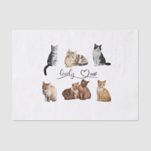 Packung mit Katzen, Funny Cats Seidenpapier