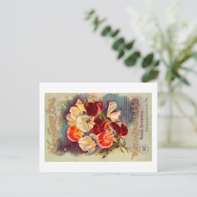 Packungsbeilage Postkarte. Postkarte (Stehend Vorderseite)