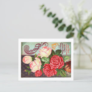 Packungskarten für Saatgut Postkarte