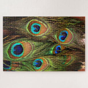 Pacock Feathers Jigsaw Puzzle