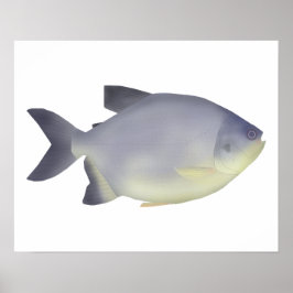 Pacu caranha  poster