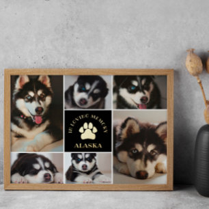 Pad Print Pet in Love Memory Black Foto Collage Foliendrucke