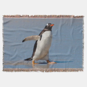 Paddel Gentoo Wurfdecke Decke