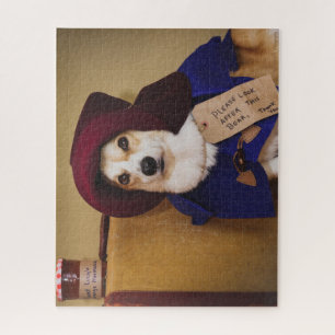 Paddington Corgi-Puzzle 500