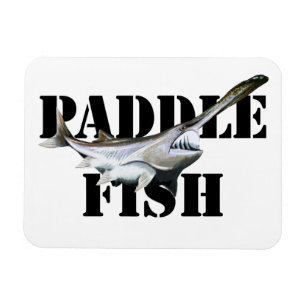 Paddlefisch Magnet