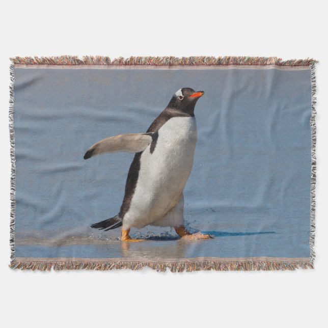 Paddling Gentoo Throw Blanket Decke (Vorderseite)