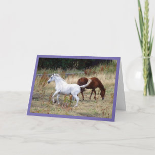Paddock fun Carte de cheval d'anniversaire