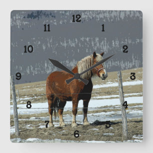 Paddock Wall Clock-Nummer des belgischen Zugpferde Quadratische Wanduhr