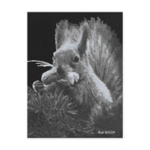 Paddy Cake, Squirrel