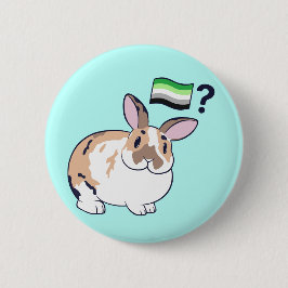 Paddy Pride Abzeichen (Aromantisch) Button