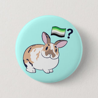 Paddy Pride Abzeichen (Aromantisch) Button