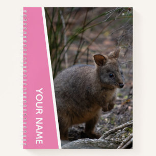 Pademelon, Australien, Süße Tier, Rosa Notizbuch