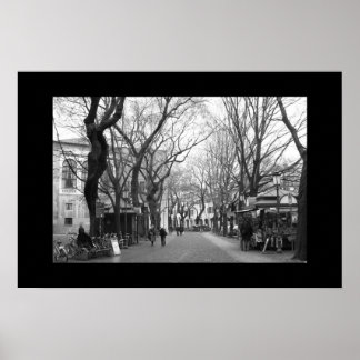 Padova, Italien Poster