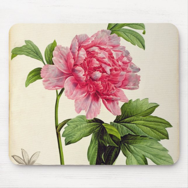 Paeonia Moutan, c.1799 Mousepad (Vorne)