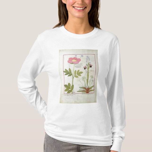 Paeonia oder Pfingstrose und Orchis myanthos T-Shirt (Vorderseite)