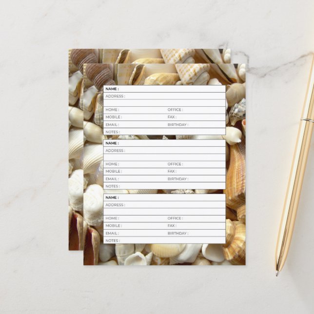 page de carnet d'adresses de coquillages (Devant/Arrière en situation)