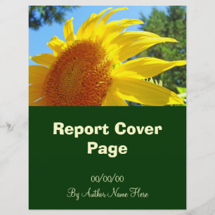 Page de couverture du rapport Fleurs de soleil par