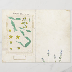 Page du journal de junk fleur sauvage Vintage avan