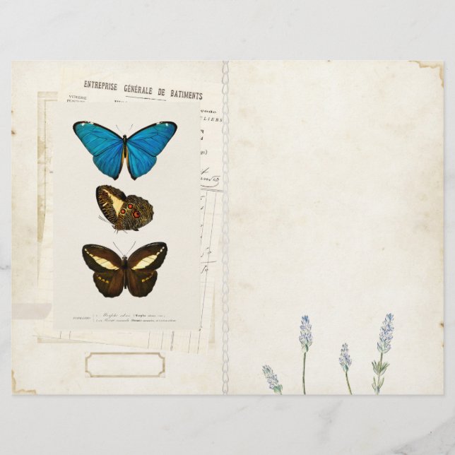 Page Papillon - Journal indésirable - Vintage avan (Devant)