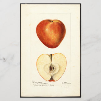 Page Pomologique Aquarelle Marshall Rouge