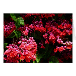 Pagode Blume farbenfroh rot und rosa