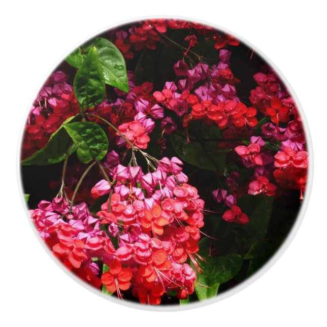 Pagode Blume farbenfroh rot und rosa Keramikknauf (Vorderseite)